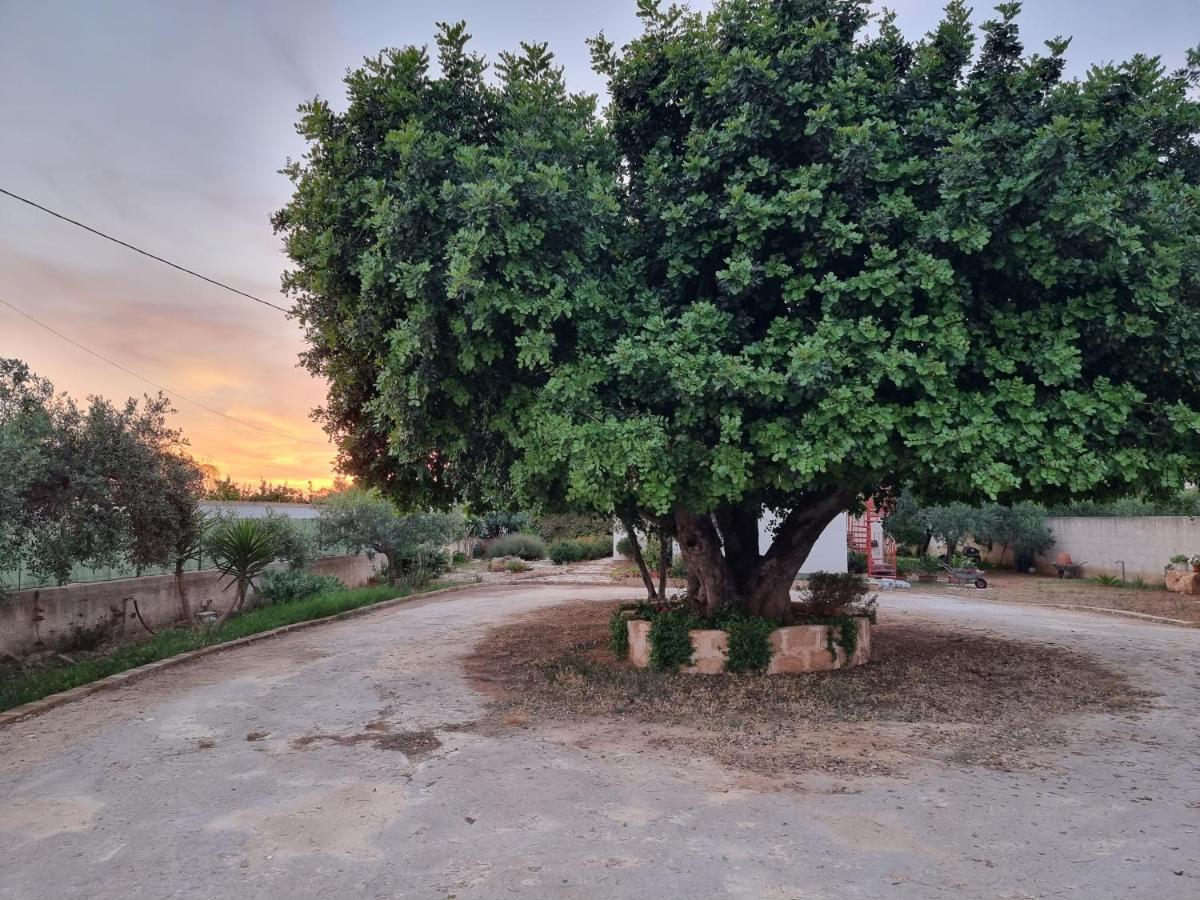 Al Vecchio Carrubo - Lovely 2-Rooms House & Patio Marsala Ngoại thất bức ảnh